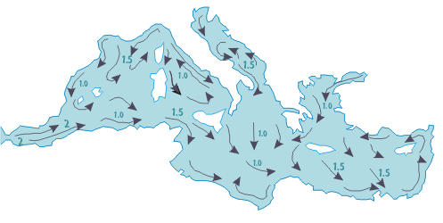地中海 海流